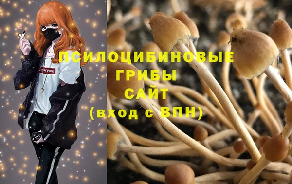 дживик Армянск