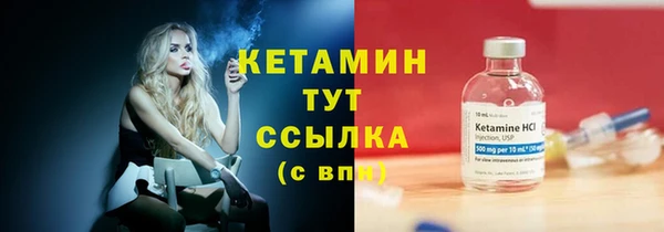 стаф Аркадак