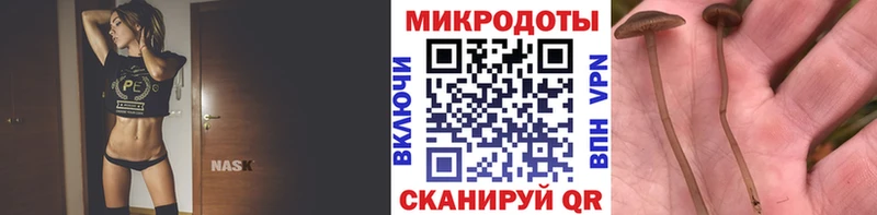 Галлюциногенные грибы MAGIC MUSHROOMS  Бодайбо 