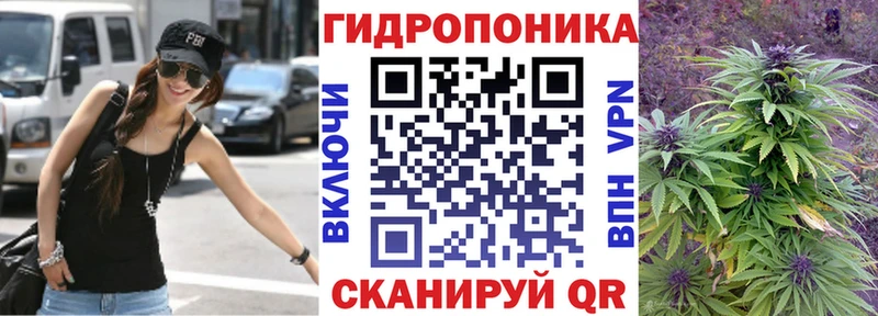 Бошки Шишки Amnesia Бодайбо